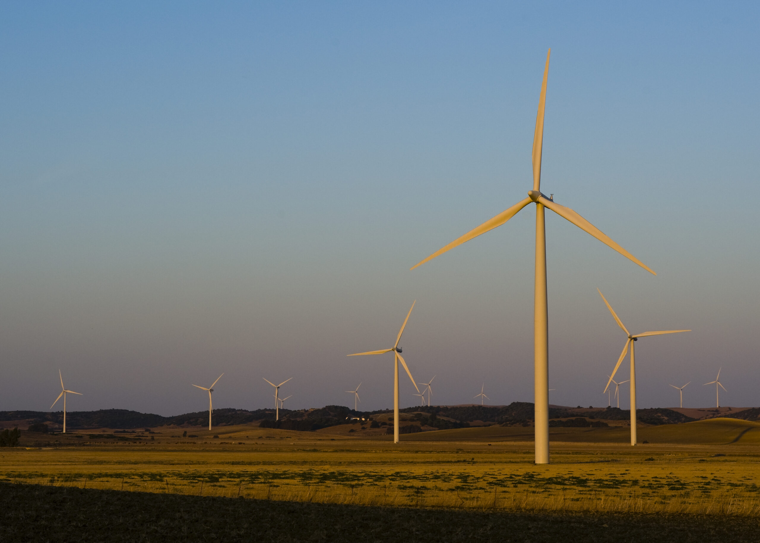 15 wind turbines in late sun in landscape of dry land