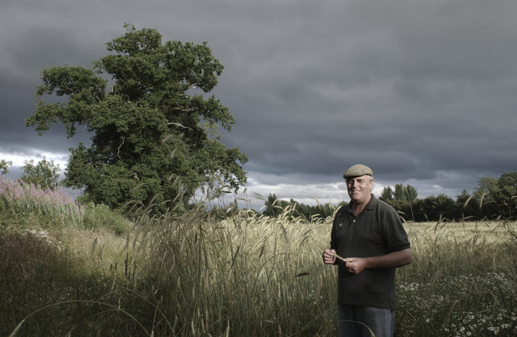 Farmer in Cap standing in field with Barley in hand, with Oak tree in background and stormy sky
