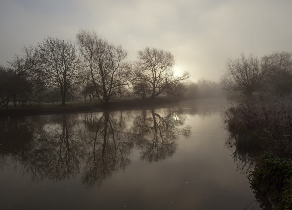 bare trees reflected in Avon with early morng mist