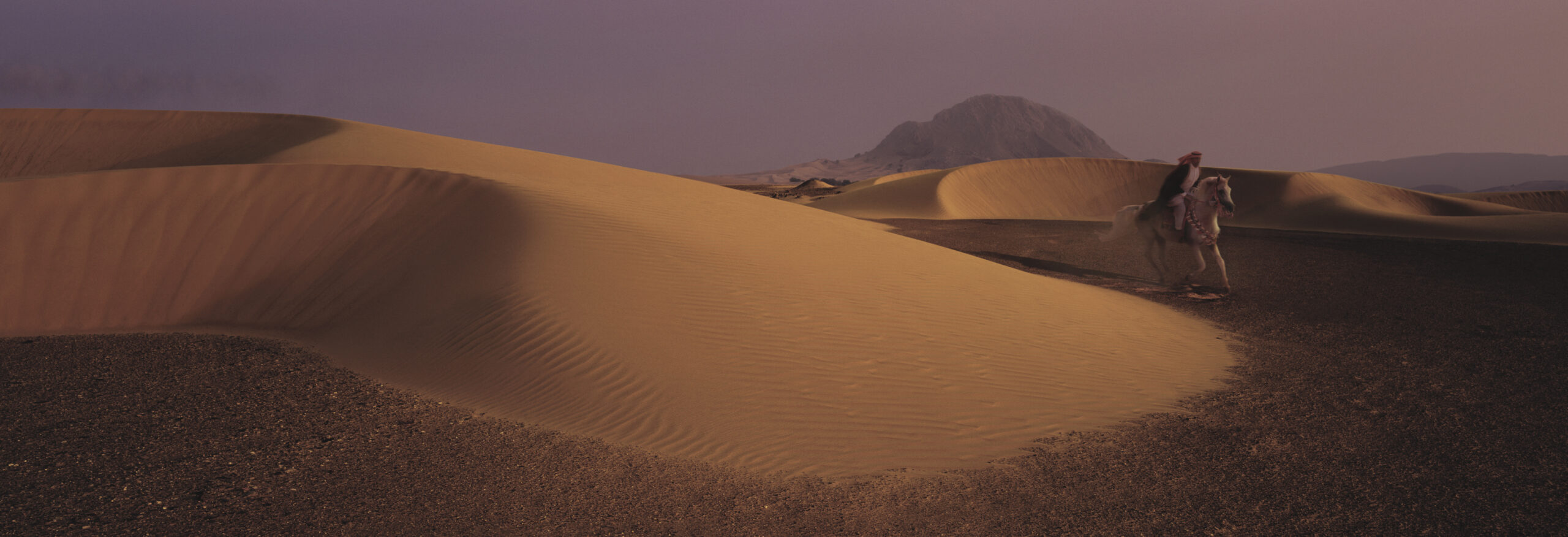 Galloping horse with rider in arab clothes with dunes in moody landscape