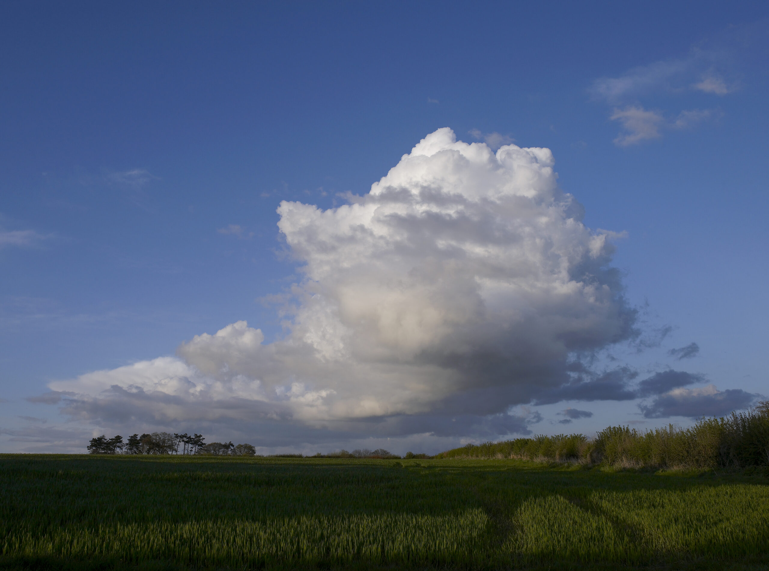 Large Cumulas Nimbus cloud over field